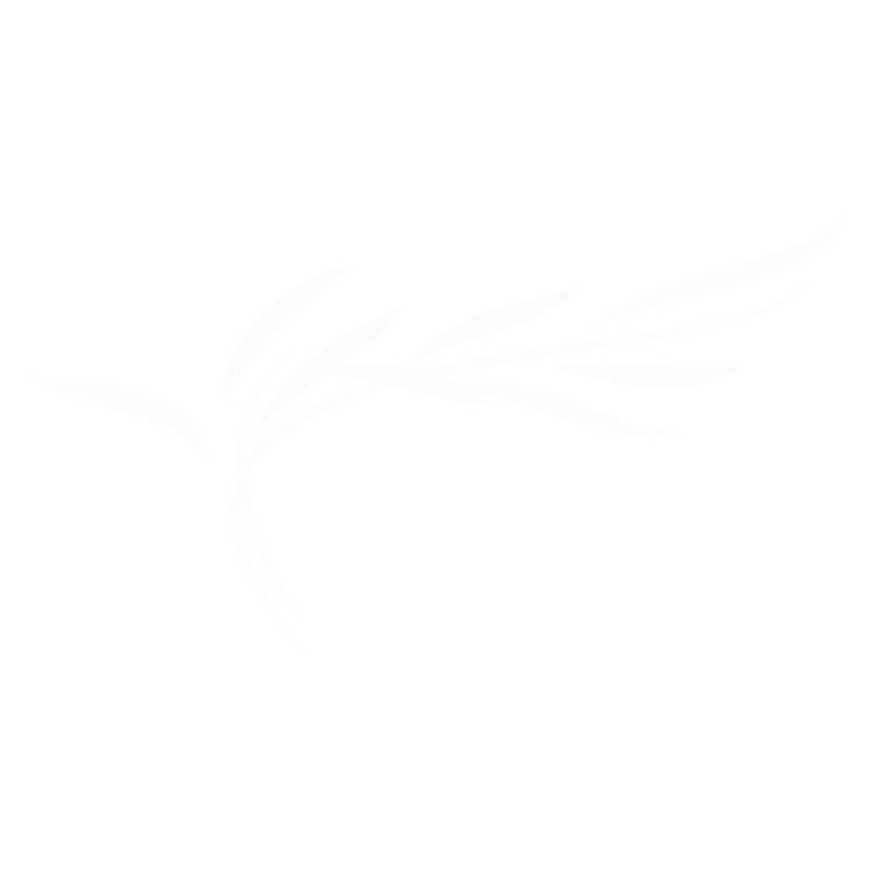 Discover Willow Park Luxury Lodges — a thriving, established lodge community in Warwickshire with only 8 vacant plots remaining and year-round living.