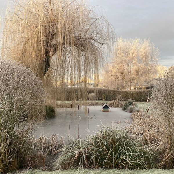 Pond at Willow Park in Winter