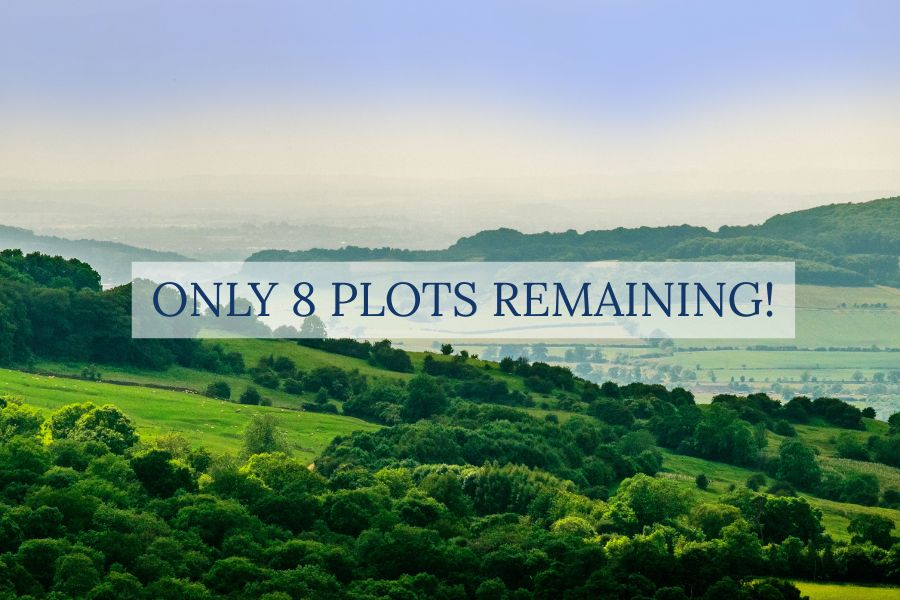 Only 8 Plots Remaining: Why Now Is the Time to Secure Your Lodge